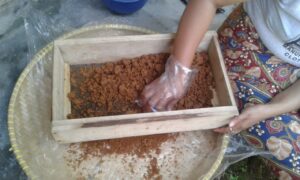 cara membuat gula semut dari aren